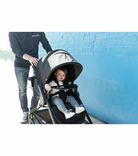 Load image into Gallery viewer, Ergobaby 180 Reversible Stroller - Grey
